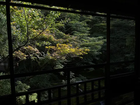 木漏れ日の縁側