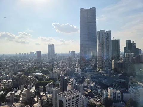 高層ビル群が織りなす大都市の眺望