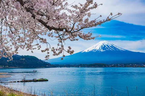 湖畔に咲く桜と雄大な富士