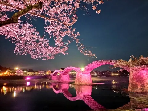 夜空に浮かぶ桜とアーチ橋