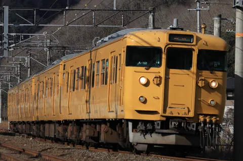 黄金色の車輌、冬景色を駆ける