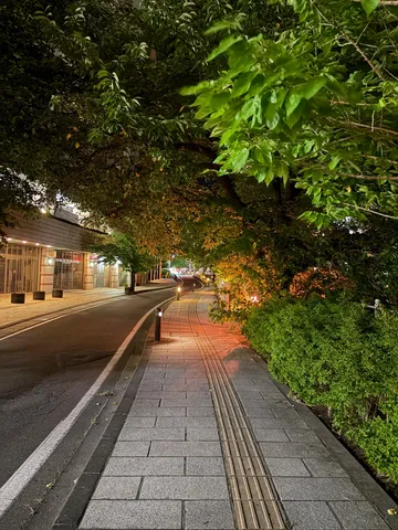 木漏れ日と石畳の夜道