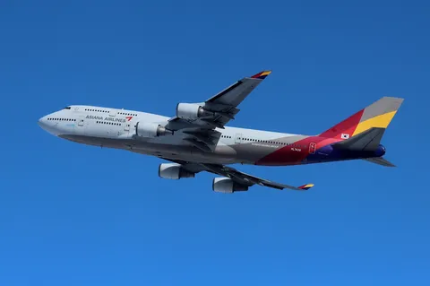 青空を舞う巨鳥