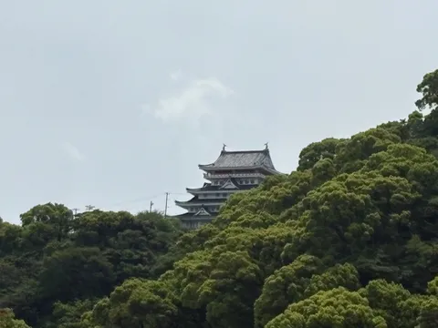 緑の木々に隠れた古城の姿