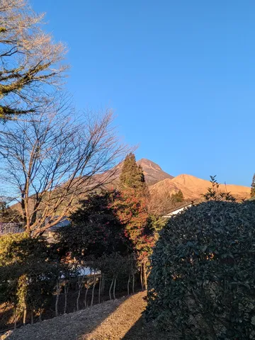 静寂の山と木漏れ日