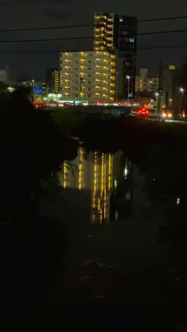 夜の水面に映る街灯