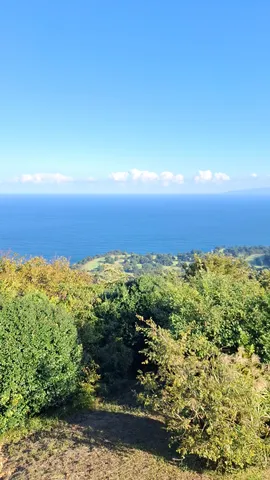 山頂から見下ろす、青い海と緑のコントラスト