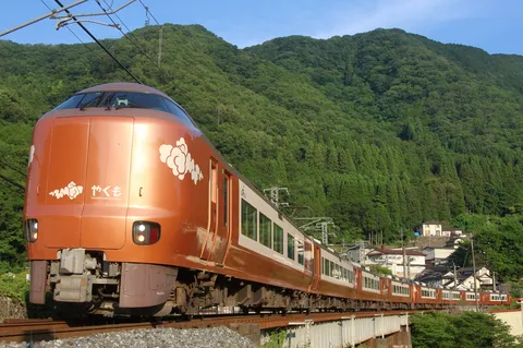 新緑を駆けるオレンジの特急