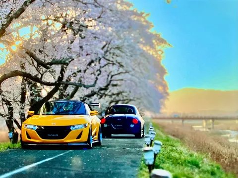 桜並木の粋なランデブー
