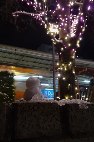 イルミネーションに照らされし雪と横を駆け抜けるオレンジ電車