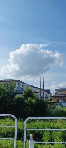 夏空と田園風景