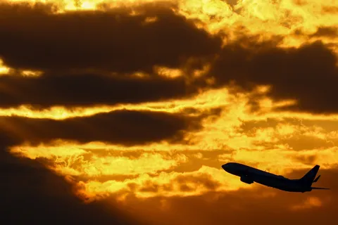 夕空を駆ける影