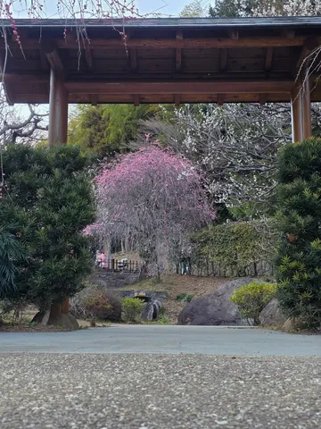静寂と華やぎのコントラスト