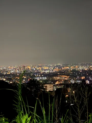 夜景に溶け込む灯りの絨毯