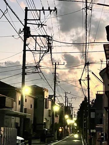 電線の迷路と夕暮れの街