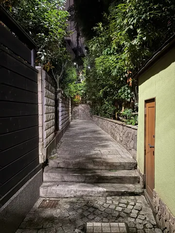 夜道の静かな瞬間