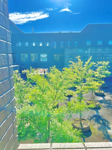 緑萌える学び舎の窓