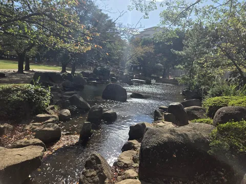 光と石の小さな渓流