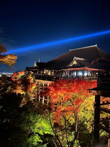 夜空を駆ける青光と錦