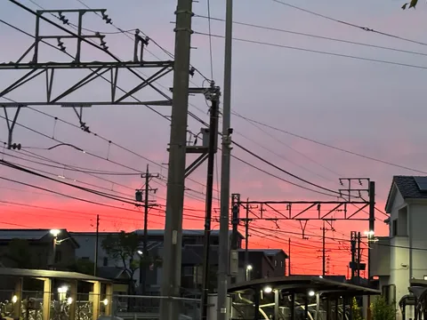 燃える空と電線のコントラスト