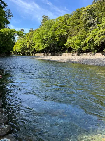 清流の畔に息づく緑