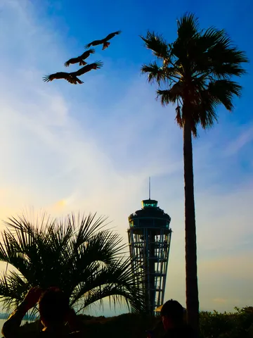 悠久の空、旅立つ影