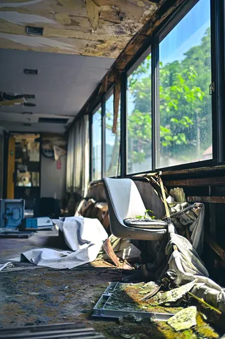 緑が差し込む廃墟の部屋