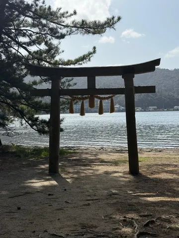 水辺の門番、今日のきらめき
