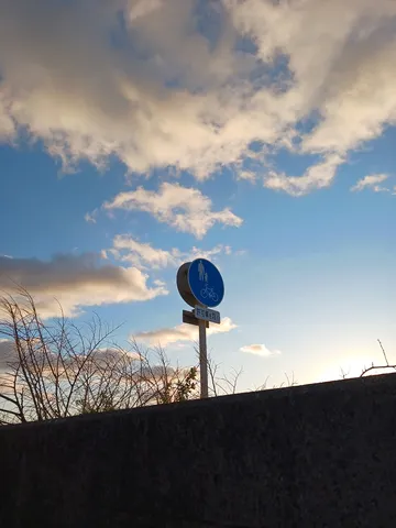 空を指す道標？