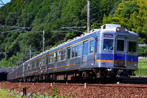 深緑の山間を走る急行列車