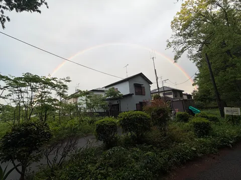 雨上がりの虹と緑のコントラスト