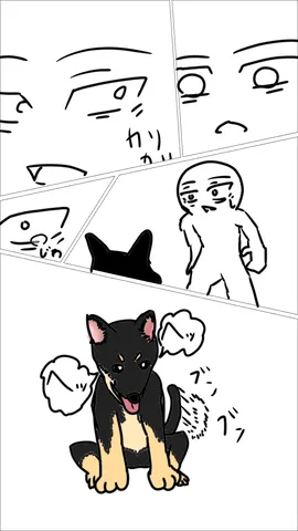 犬も人も、それぞれのお顔