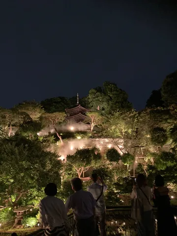 幻想的な夜の光景