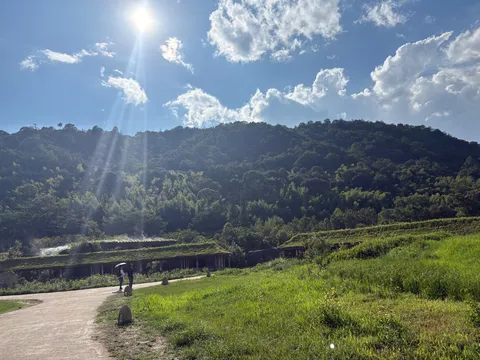 光と緑の山麓風景