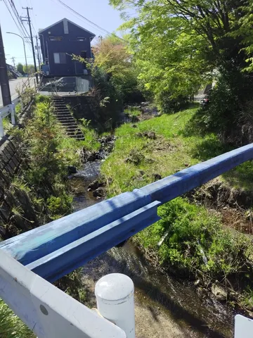 橋の上から見下ろす緑の小径