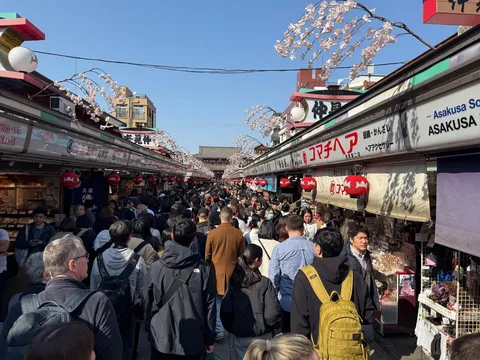 桜舞う賑やかな参道