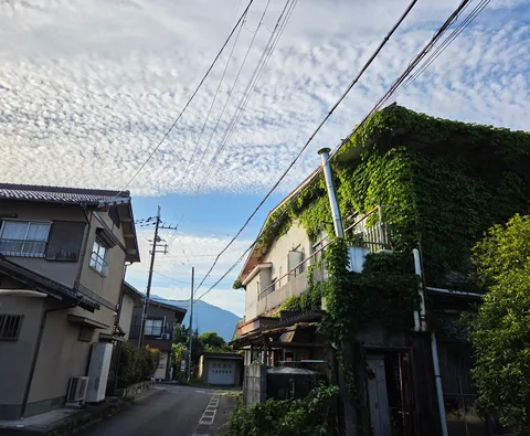 緑に包まれた家と空のコントラスト