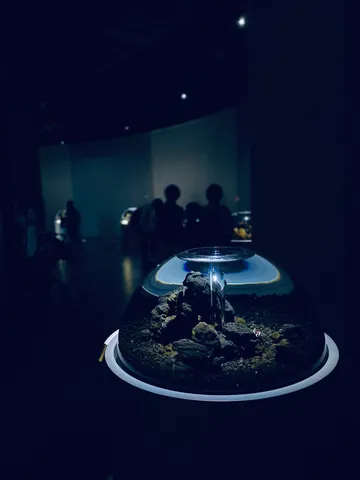 闇夜に輝く神秘の展示