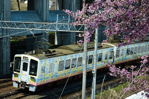 春色電車と桜の共演