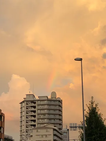 夕暮れに架かる虹とビル