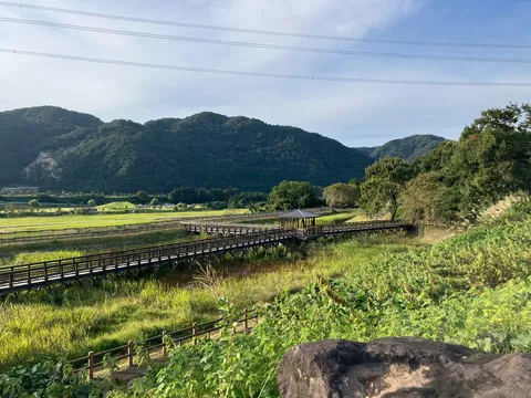 森と木道の静かな風景