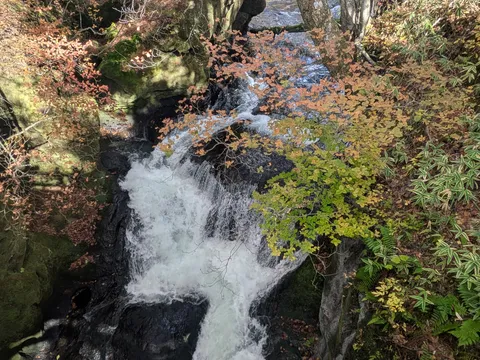 秋色に染まる渓流の囁き