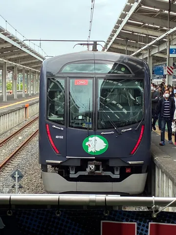 ライオン列車、駅に停車中
