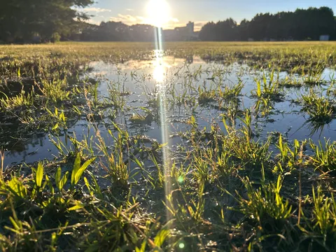 水たまりにきらめく陽光