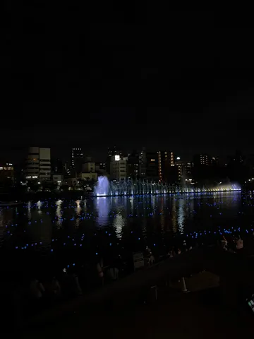 夜の水面、光の小舟