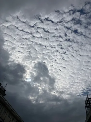 天へ広がる雲の波