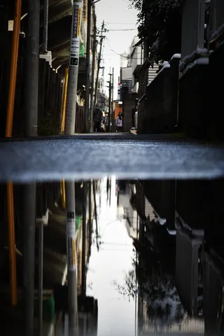 水たまりが映す、雨上がりの静寂