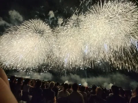 夜空を彩る光のシャワー