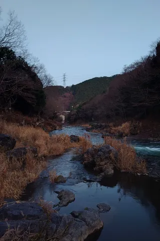 静寂が支配する水辺の情景