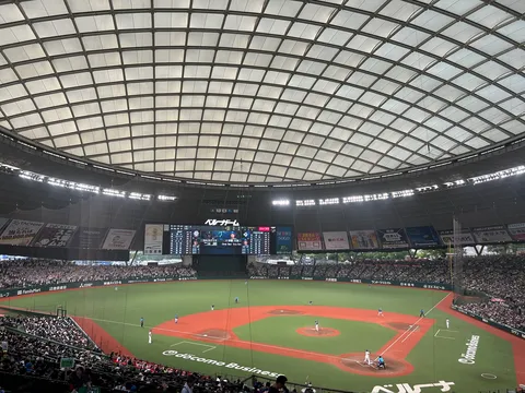 ドーム球場で野球観戦！